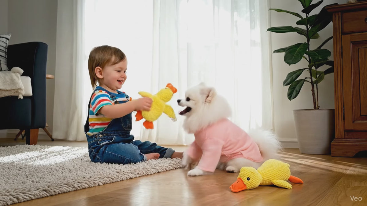 Stuffed Squeaky Plush  Dog Toy for Pets Engagement
